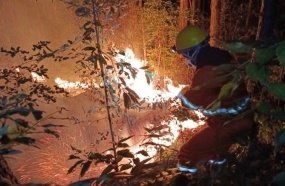 Bombeiros trabalham por oito horas para combater incêndio em reflorestamento