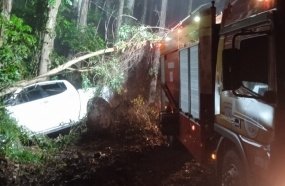 Caminhonete colide contra árvores após sair da pista no interior de Piratuba