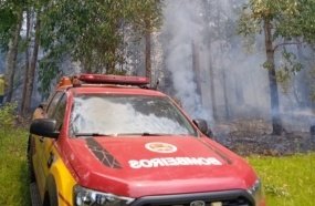 Bombeiros levam mais de três horas para controlar incêndio em reflorestamento