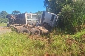 Carreta bitrem carregada com toras de pinus tomba no Meio-Oeste