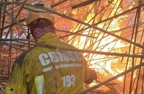Incêndios florestais mobilizam grande operação dos bombeiros em Campos Novos