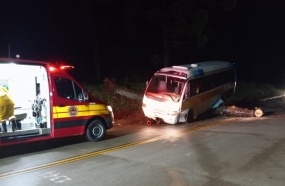 Micro-ônibus escolar colide em pinheiro que caiu na rodovia após temporal