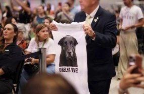 Decreto “Justiça por Orelha” endurece multas por maus-tratos a animais