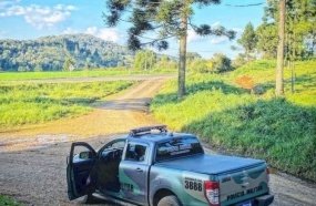 Coleta e venda de pinhão estão proibidas até 1º de abril em SC