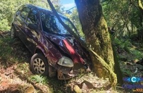 Condutora fica ferida após carro sair da pista e colidir contra árvore 