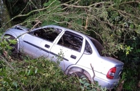Veículo é encontrado abandonado após colisão contra árvores na BR-282