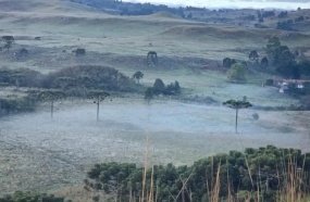 Primeira geada do outono é registrada na Serra Catarinense 