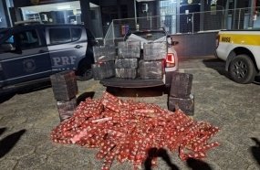 Ação conjunta apreende 355 kg de maconha em Santa Catarina 