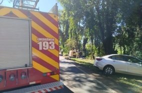 Quatro pessoas que retornavam de atendimento médico morrem em colisão entre SC e PR