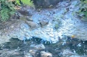 PM Ambiental identifica despejo de resíduos em rio de Joaçaba