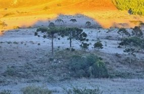 Santa Catarina registra as temperaturas mais baixas do ano