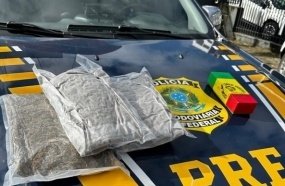 PRF apreende 1,5 kg de 'supermaconha' em veículo de aplicativo 