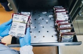 Hemosc reforça necessidade do sangue O e A após queda de doações