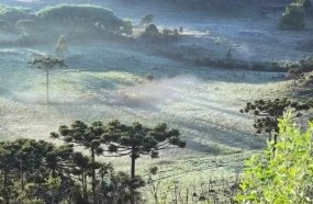 Santa Catarina registra madrugada de temperaturas negativas