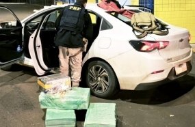 Motorista é preso com quase 240 kg de maconha no carro na BR-282