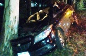 Idoso fica ferido após carro colidir contra árvore na SC-350