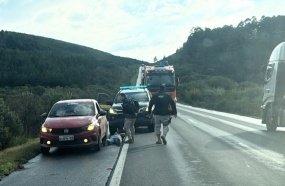 Motorista é preso com carga de maconha após abordagem na BR-153