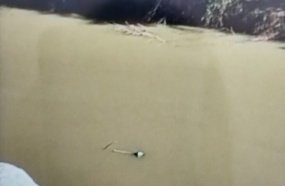 Objeto avistado no rio gera expectativa em buscas por mulher desaparecida