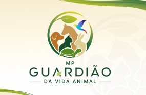 Campos Novos integra lista de municípios com altos índices de maus-tratos a animais 