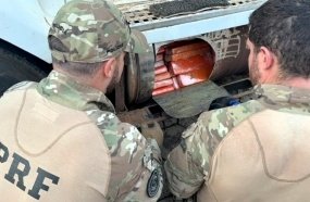 Cão da PRF descobre mais de 500 kg de maconha em tanque de combustível de carreta