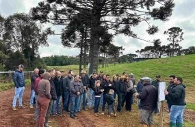 Dia de Campo destaca gestão, diversificação e sucessão rural em Erval Velho