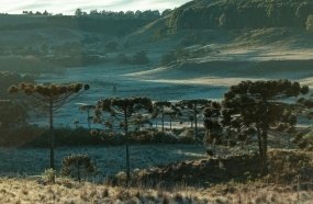 Massa de ar seco e frio provoca queda brusca nas temperaturas em SC
