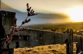Fim de semana com sol, frio e condição de geada em Santa Catarina
