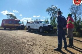 Seis trabalhadores são atacados por enxame de abelhas durante roçada