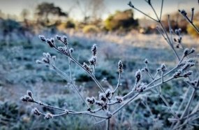 Frio intenso e geada marcam início de semana em Santa Catarina