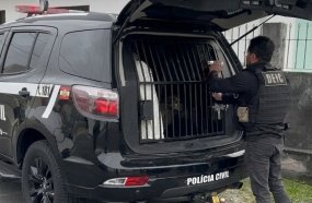 Operação mira grupo criminoso por fraude de R$ 8 milhões contra empresa de SC
