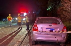 Carro é atingido por eucalipto que caiu sobre a SC-355