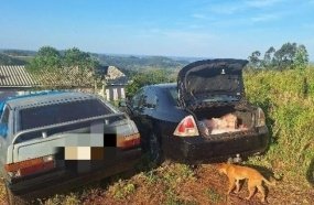 Funcionário é preso após ser flagrado desviando 160 kg de alcatra da empresa