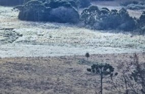 Semana começa com geada e frio intenso em Santa Catarina