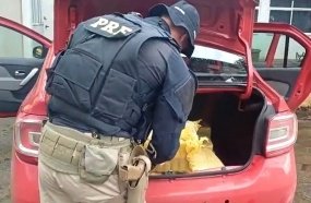 PRF apreende 100 kg de maconha após motorista tentar fugir na BR-480