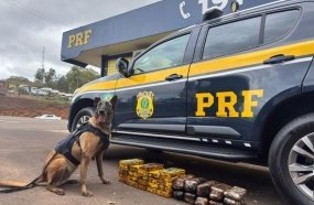 PRF apreende 35 kg de cocaína e haxixe escondidos no catalisador de carreta