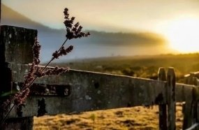 Massa de ar frio mantém temperaturas baixas e possibilidade de geada em SC