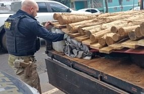 PRF apreende agrotóxicos ilegais escondidos sob toras de madeira em caminhonete