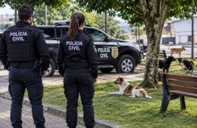 Casal é investigado por usar carro oficial para retirar cães de Campos Novos