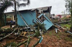 Casa é atingida por árvore de grande porte durante temporal na madrugada