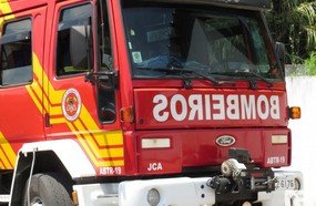 Galho de árvore causa acidente no acesso de Herval d´Oeste