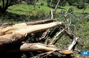 Tornado pode ter atingido propriedade no interior de Ouro