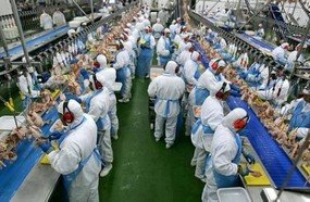 Coreia do Sul retira embargo da carne de frango do Brasil
