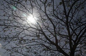 Inverno deve ser mais quente que o normal em Santa Catarina