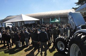 Festa do Colono reúne 1.200 pessoas em Nova Petrópolis