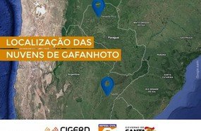 Governo do Estado monitora nuvens de gafanhotos