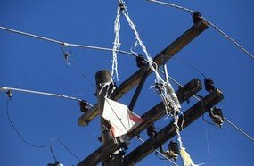 Pipa na rede elétrica deixa várias unidades sem luz em Herval
