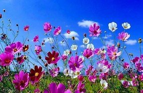 Primavera começa com sol e temperatura elevada