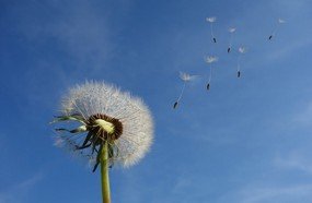 Primavera será influenciada pelo fenômeno La Niña