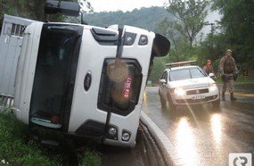 Caminhão carregado com suínos tomba na BR-282, em Joaçaba