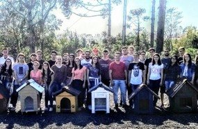 Acadêmicos constroem casinhas para animais carentes